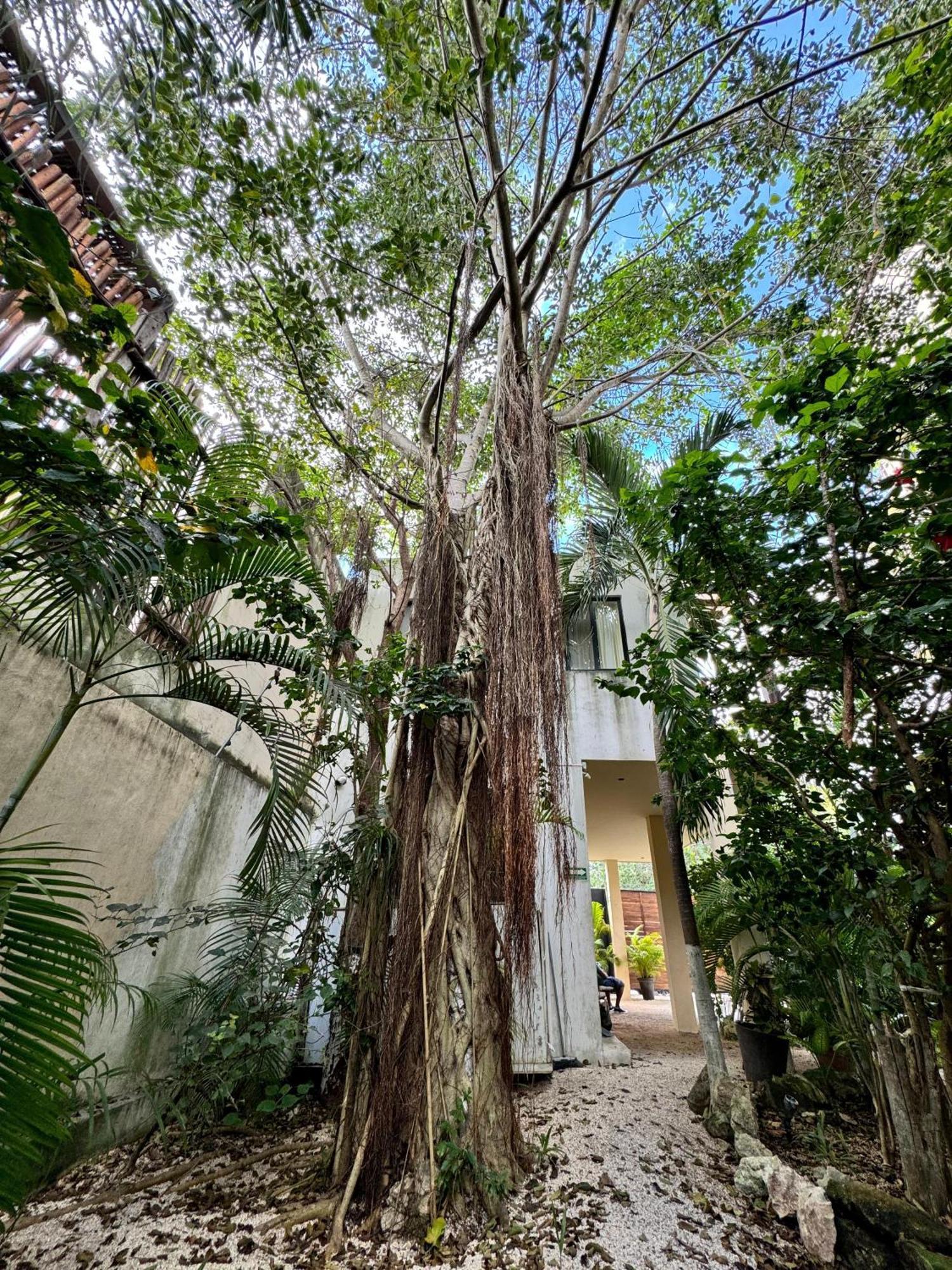 Starfit Hotel Boutique Beachclub, Spa & Gym Included Tulum Exterior photo